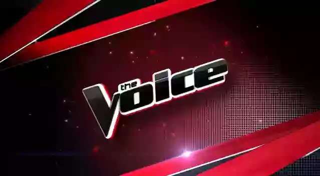 The Voice Season 22 Coaches, Artists & Host Salary